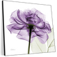 Frendorf | Ein lila Rosen Wandkunst