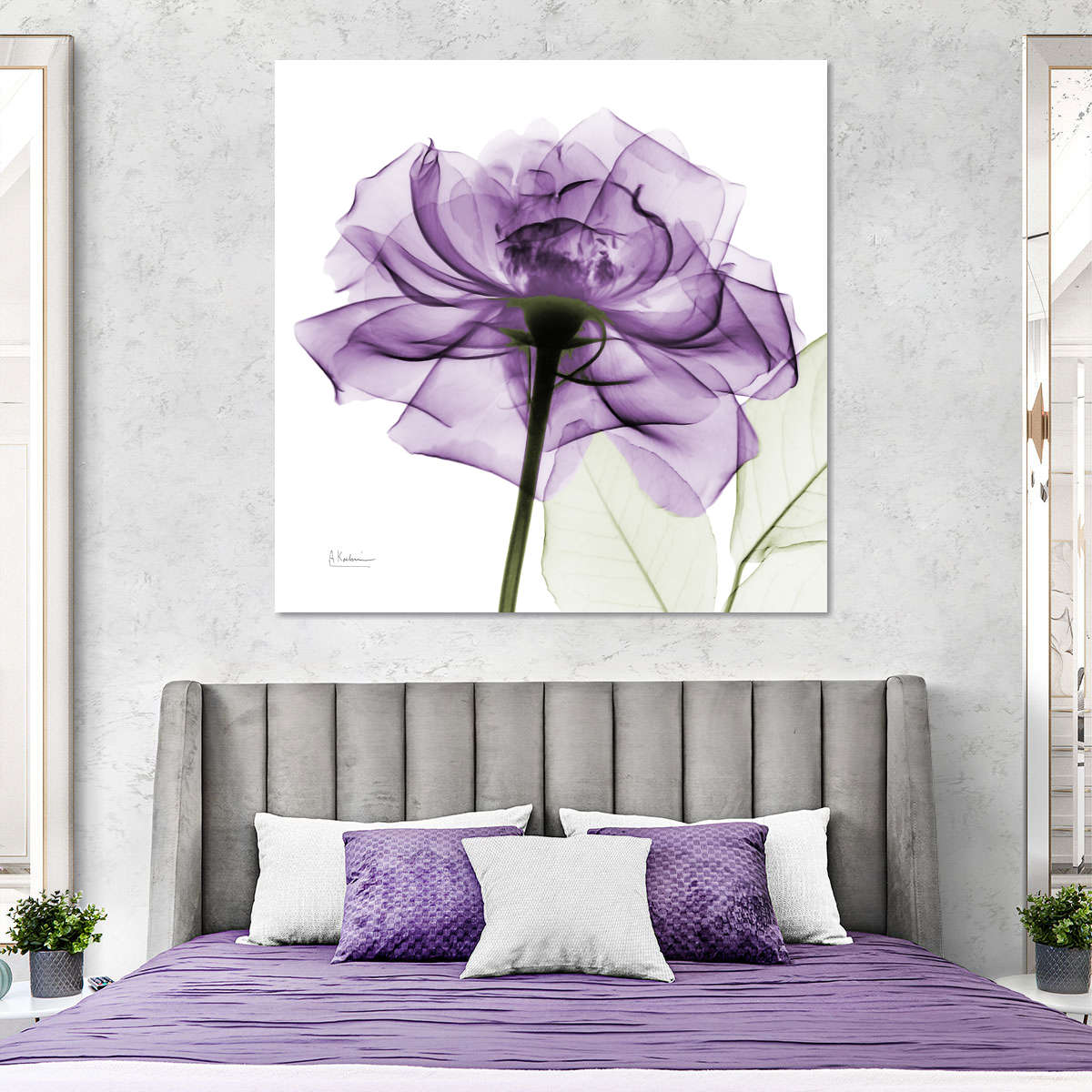Frendorf | Ein lila Rosen Wandkunst