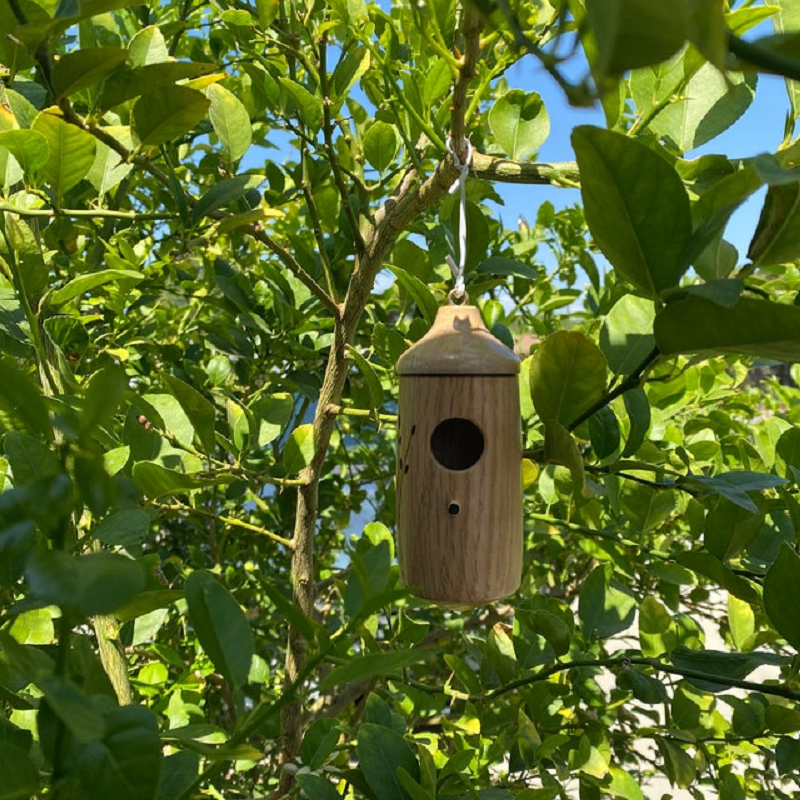 Frendorf | Holzhängematte Kolibrihaus - Geschenk für Naturliebhaber