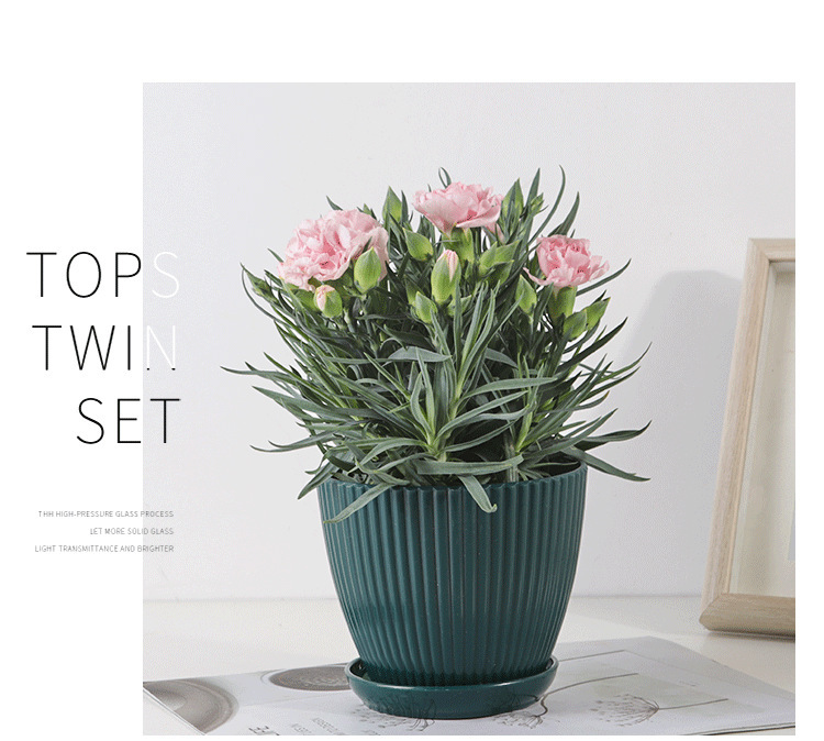 Frendorf | Blumentopf mit Rillenstruktur und Untersetzer – Stabiler Kunststofftopf für Pflanzen