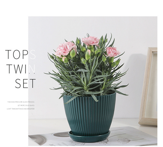 Frendorf | Blumentopf mit Rillenstruktur und Untersetzer – Stabiler Kunststofftopf für Pflanzen