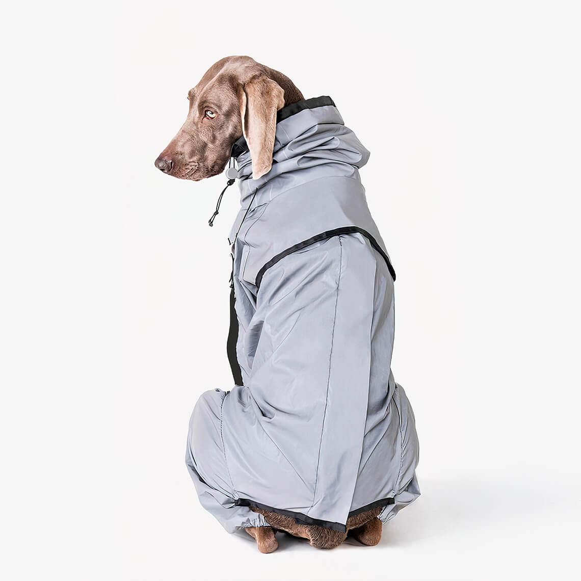 Reflektierender Allwetter wasserdichter cooler Hundezubehör Regenmantel