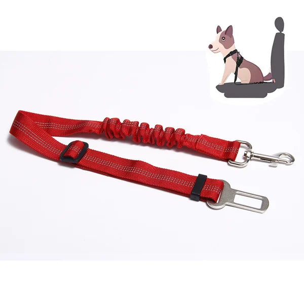 Frendorf |  Sicherheitsgurt für Haustiere