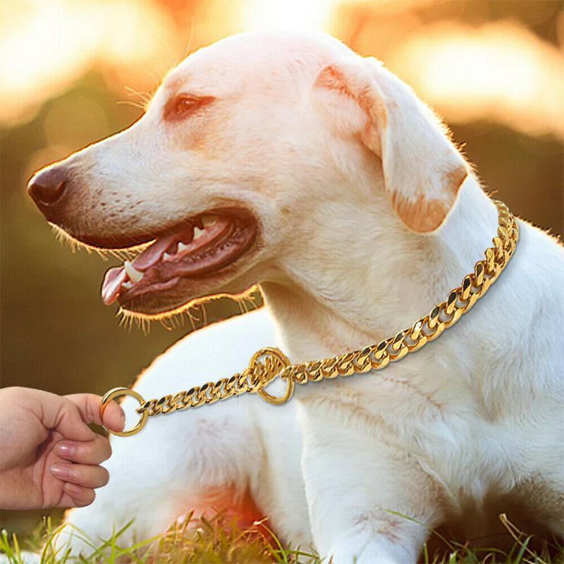 Frendorf | 304 Edelstahl Choker P Ketten Schlangen Halskette