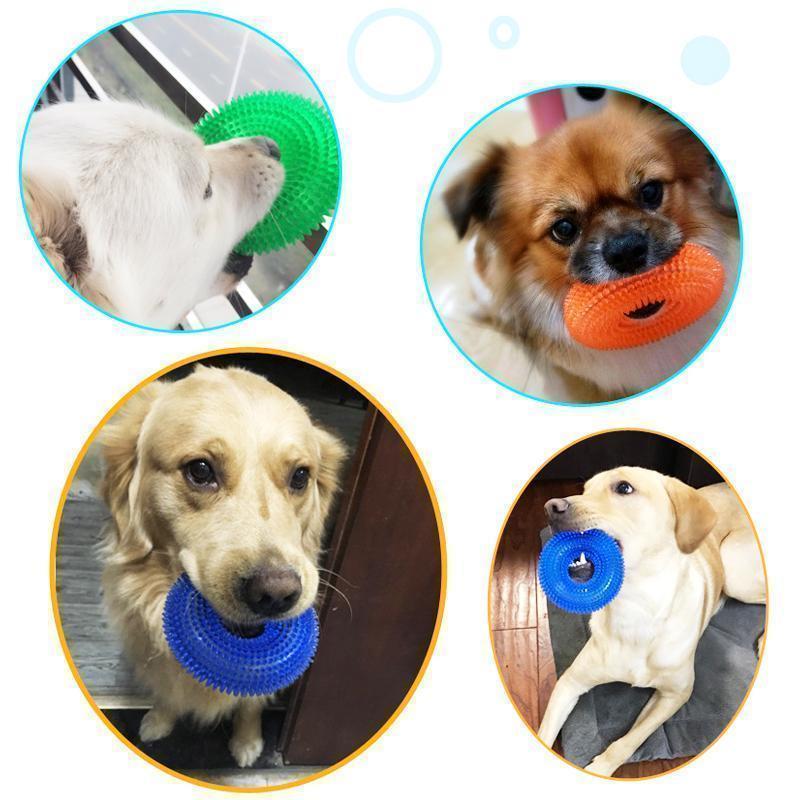 Frendorf | Bissender Hundespielzeug Sprachball