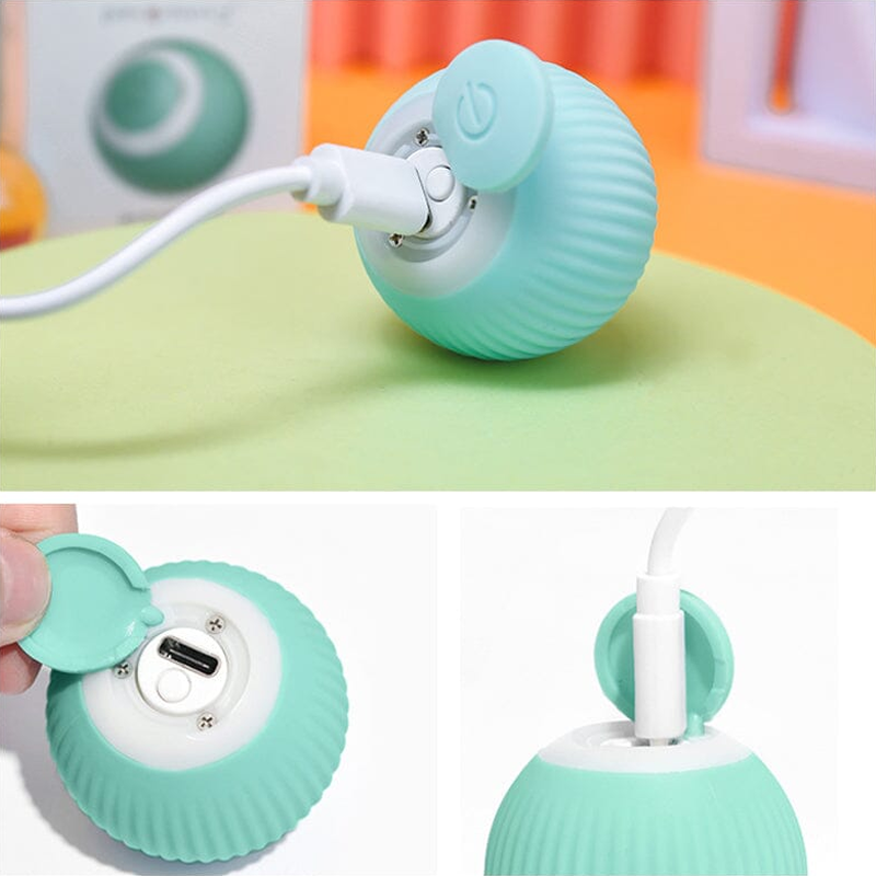 Frendorf | 2 in 1 Simuliertes Interaktives Jagdspielzeug für Katzen