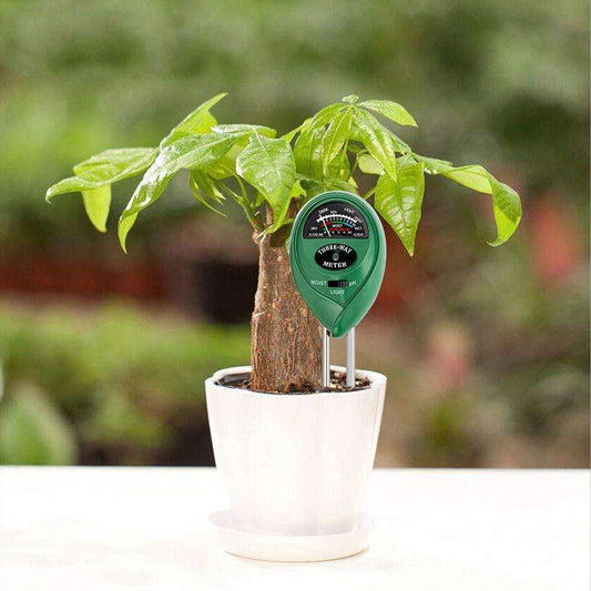 Frendorf | 3-in-1 Bodenmessgeräte Kits mit Feuchtigkeit