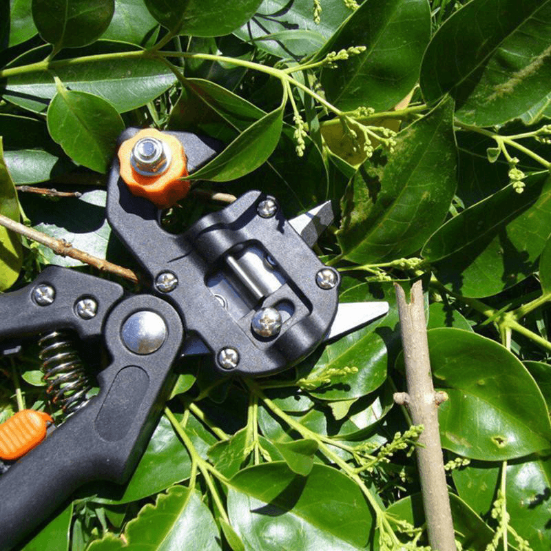 Frendorf | Professionelles Gartenpfropfwerkzeug-Set