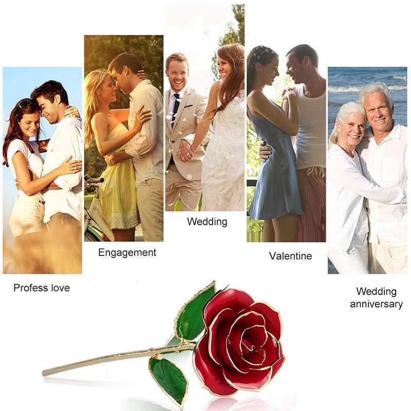 Frendorf | Bloom Eternal 24K Gold Rose