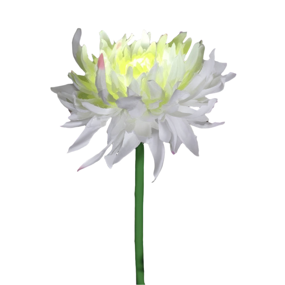Frendorf | BloomGlow solarbetriebene Gartenlampen – Farbwechselnde LED-Außendekoration