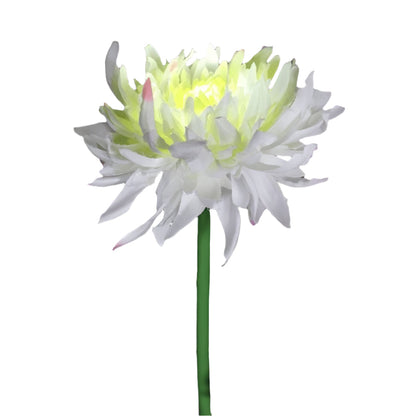 Frendorf | BloomGlow solarbetriebene Gartenlampen – Farbwechselnde LED-Außendekoration