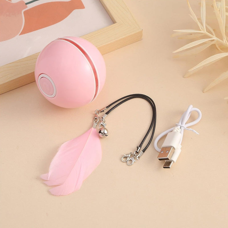 Frendorf | Automatisch geführter, intelligenter Katzenball