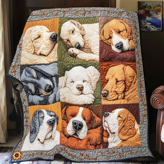Labrador Hund Decke