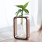 Frendorf | PlantFrame Holz-Glas Pflanzvase | Stilvoller Anzuchtbehälter | Perfekt für Pflanzenliebhaber & Dekoration