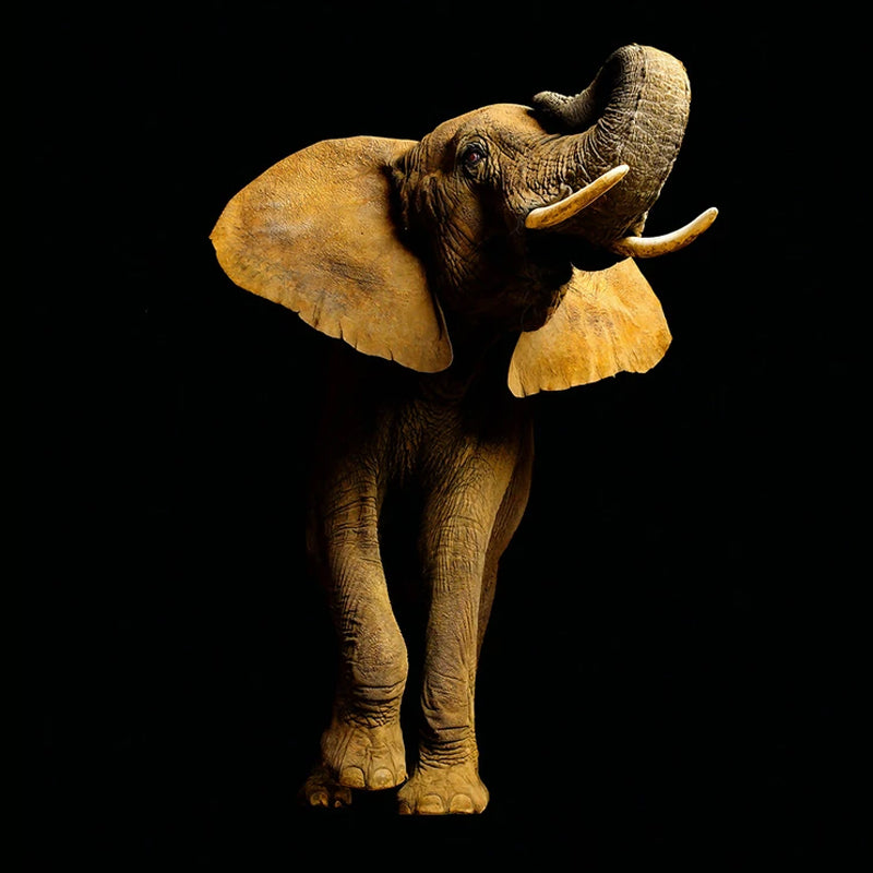 Frendorf | Foto Stil Olifant Wandkunst Extra Groß Wandtapete für Akzentwand, Personalisierte Größe Verfügbar