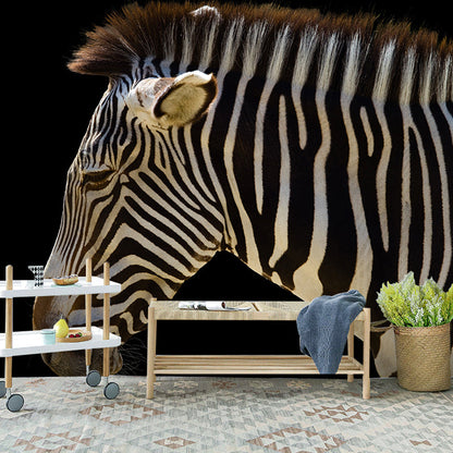 Frendorf | Contemporary Zebra Muurschildering voor Hu Decorations, Groot Wandbedekking in Zwart en Wit