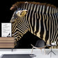Frendorf | Contemporary Zebra Muurschildering voor Hu Decorations, Groot Wandbedekking in Zwart en Wit