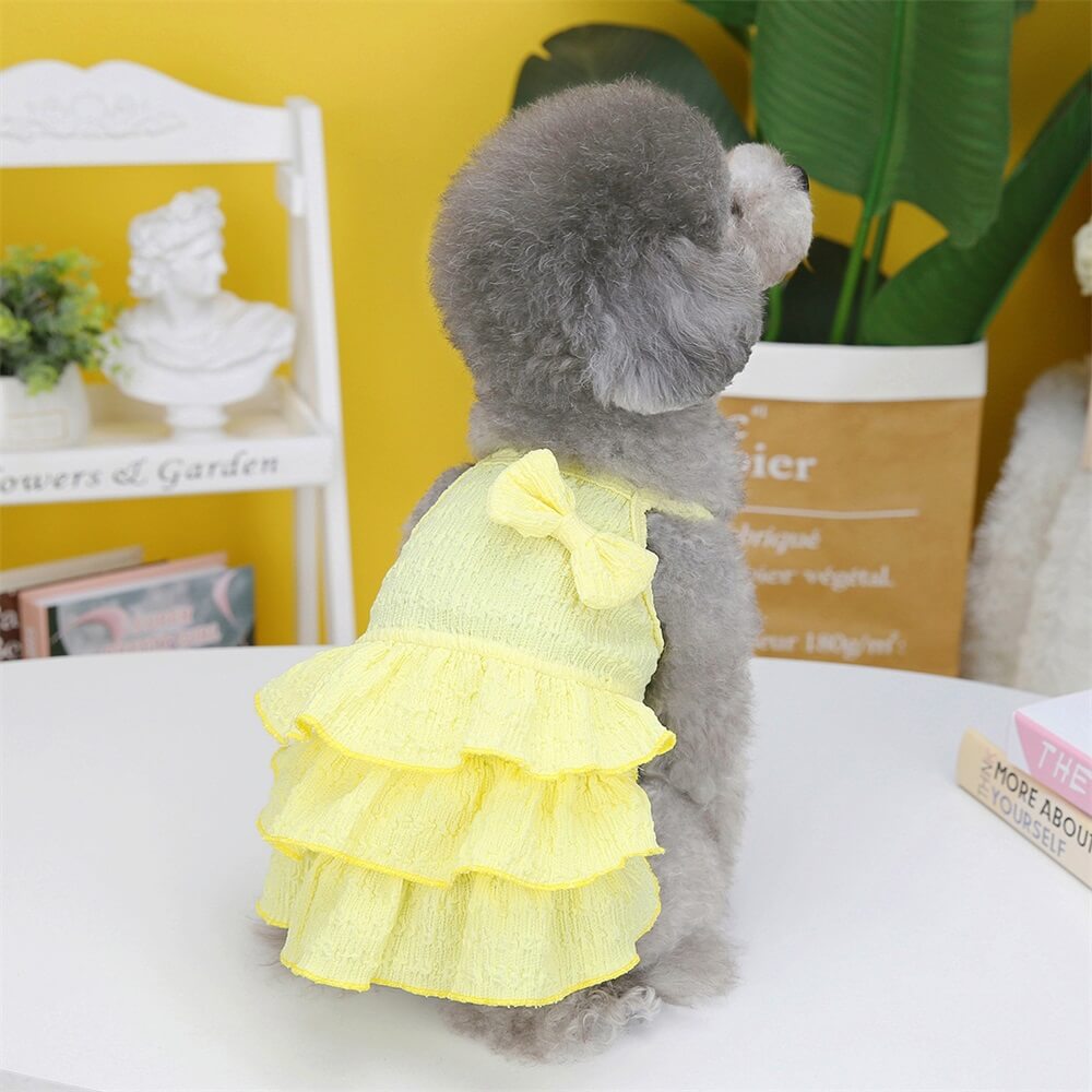 Adorable Rüschhundekleid mit Schleife - Perfekt für Sommerausflüge