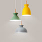 Frendorf | AuroraLite Nordic Pendelleuchte | Metall-Design | 1-Licht | Moderne Farboptionen