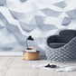 Frendorf | Volledige Muurmuurschilderingen voor Galerij 3D Ongelijke Geometrieën Wandbekleding in Industriële Aandoeningkleur, Vlekbestendig