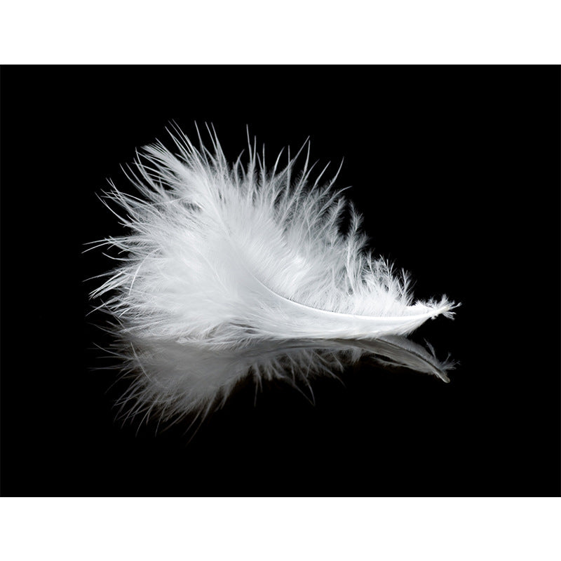 Frendorf | Extra große Feder Wandmural Gästezimmer Wandverkleidung in Schwarz und Weiß, fleckenresistent