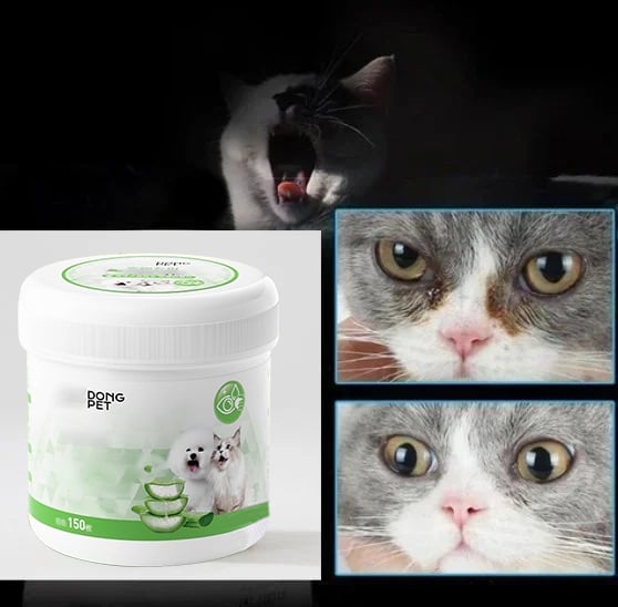 Frendorf | AugeLeichtigkeit Entfernt sanft Flecken