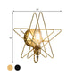 Frendorf | Metalen Ster-Gevangen Wandlamp Sconces Loft Stijl 1 Gloeilamp Slaapkamer Wandverlichting in Zwart/Goud
