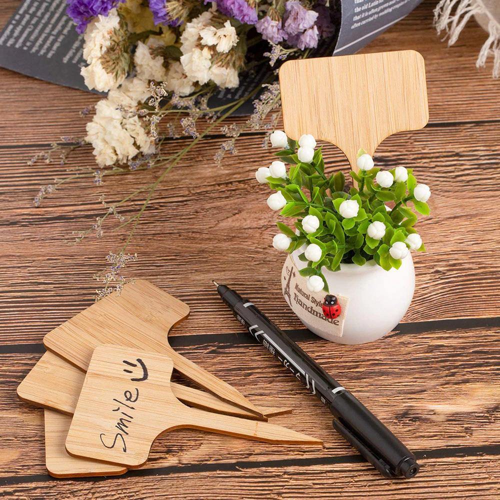 Frendorf | GreenLabel Holz Pflanzenschilder | Umweltfreundlich | Perfekt für Garten & Balkon | Markierungsschilder für Pflanzen