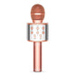 Frendorf | Kabelloses Handheld Bluetooth Mikrofon