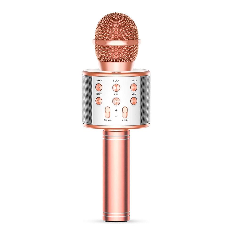 Frendorf | Kabelloses Handheld Bluetooth Mikrofon