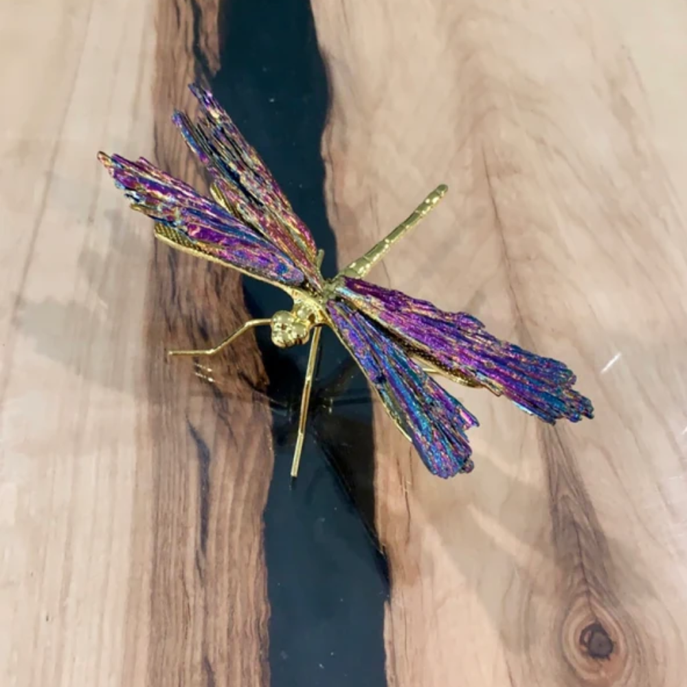 Frendorf | Aurora Libelle Charm