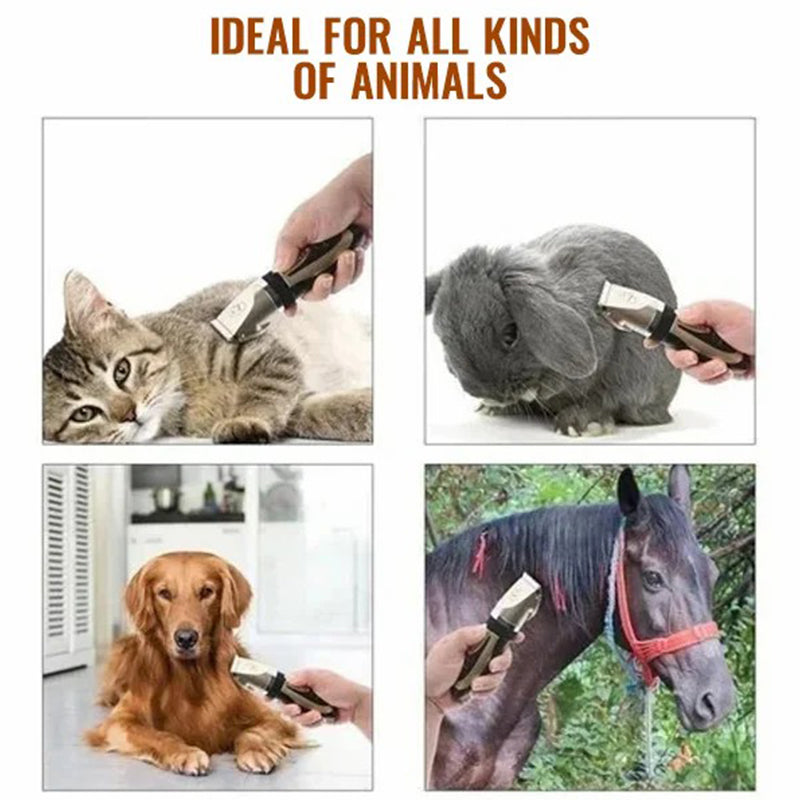 Frendorf | Ultra-leise professionelle Hundeschneider
