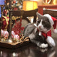 Weihnachtsdekoration Santa Hut mit Schal