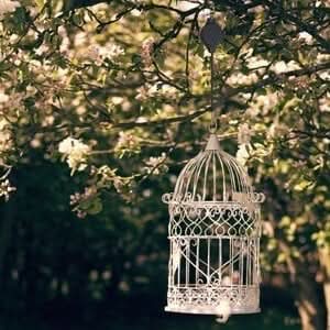 Frendorf | BlumenLift Höhenregler