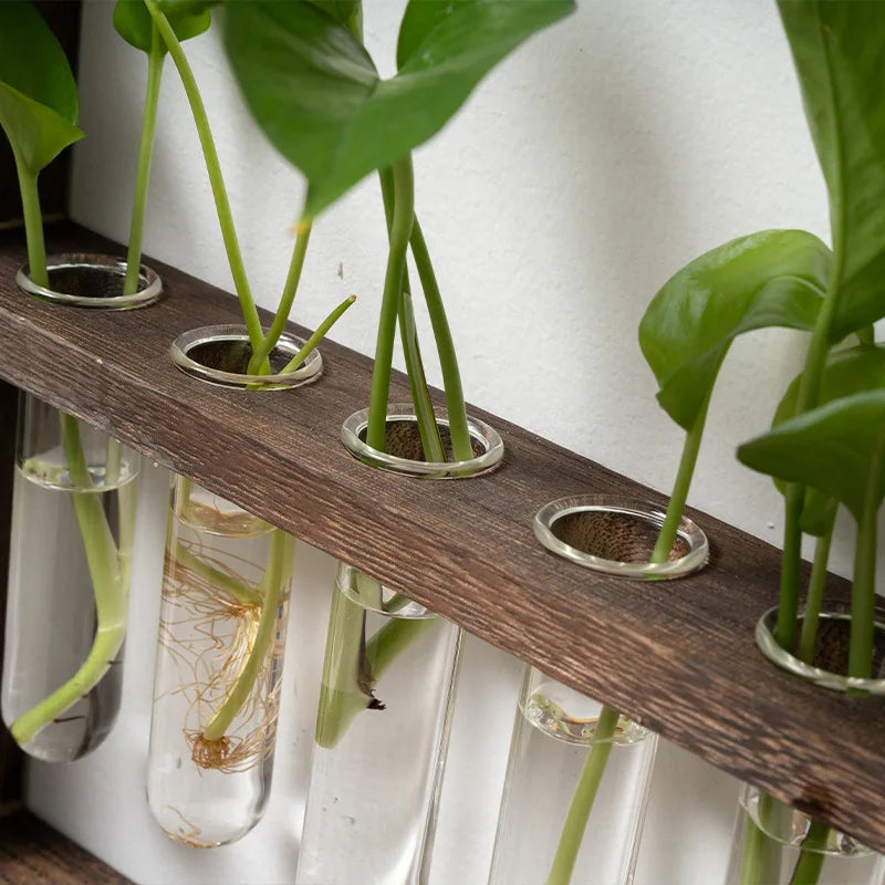 Frendorf | Pflanzen Fotorahmen | Elegantes Vermehrungs Design