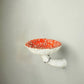 Frendorf | Amanita Pilz Hänregal