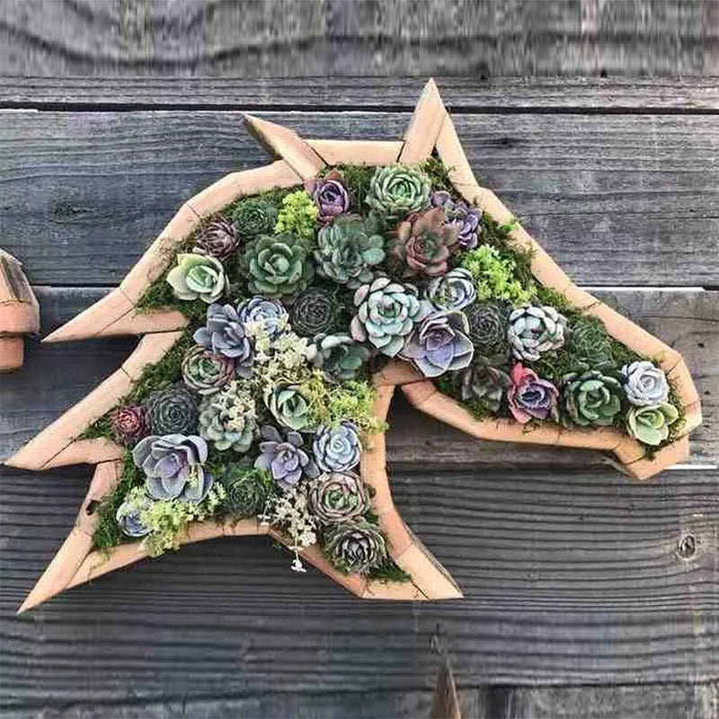Frendorf | Tierisches Sukkulentengarten-Arrangement