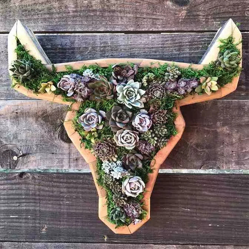 Frendorf | Tierisches Sukkulentengarten-Arrangement