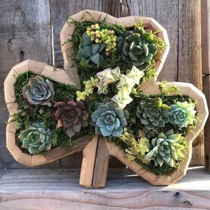 Frendorf | Tierisches Sukkulentengarten-Arrangement