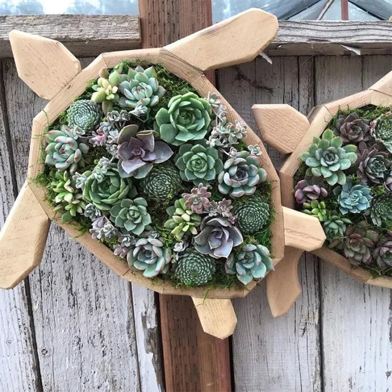 Frendorf | Tierisches Sukkulentengarten-Arrangement