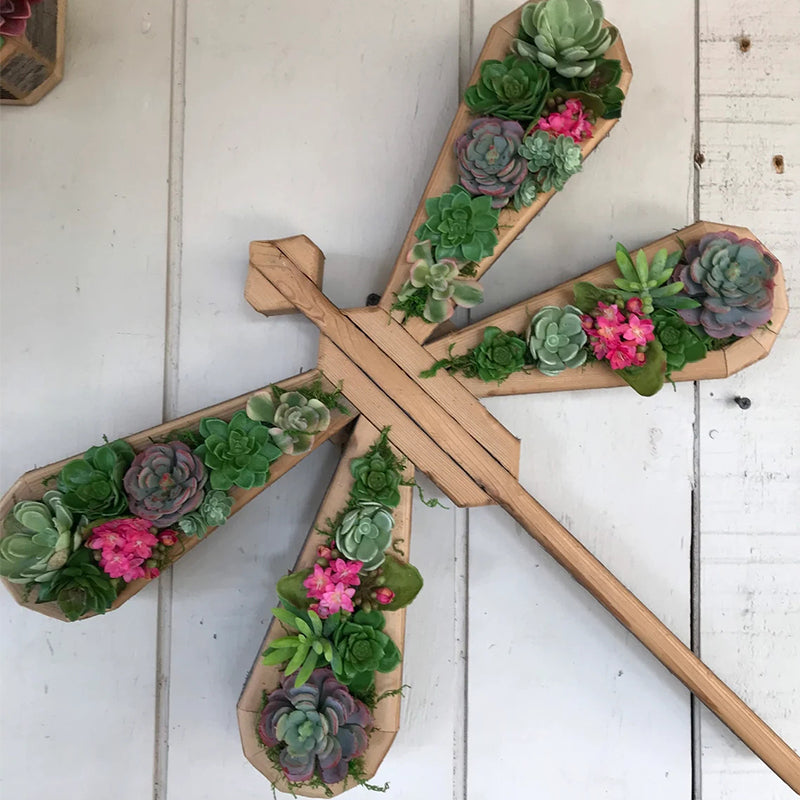 Frendorf | Tierisches Sukkulentengarten-Arrangement