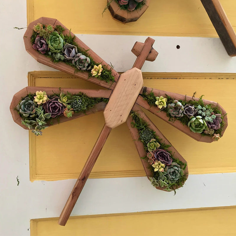 Frendorf | Tierisches Sukkulentengarten-Arrangement
