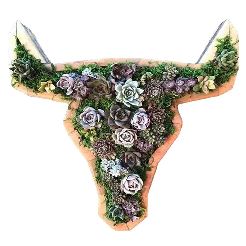 Frendorf | Tierisches Sukkulentengarten-Arrangement