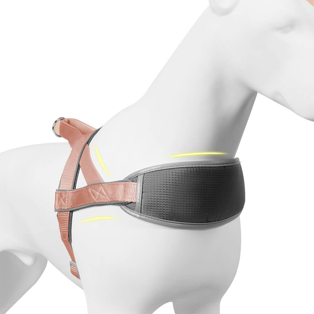 Anti Pull Shock-dämpfende Nacken Schutz Großes Hundegeschirr mit Leine