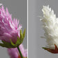 Frendorf | Künstliche 6 Köpfe Bromelienpflanze