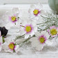 Frendorf | Künstliche 8 Köpfe Chrysanthemenblume