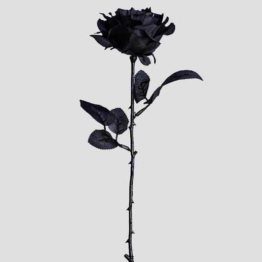Frendorf | Künstliche schwarze Rose