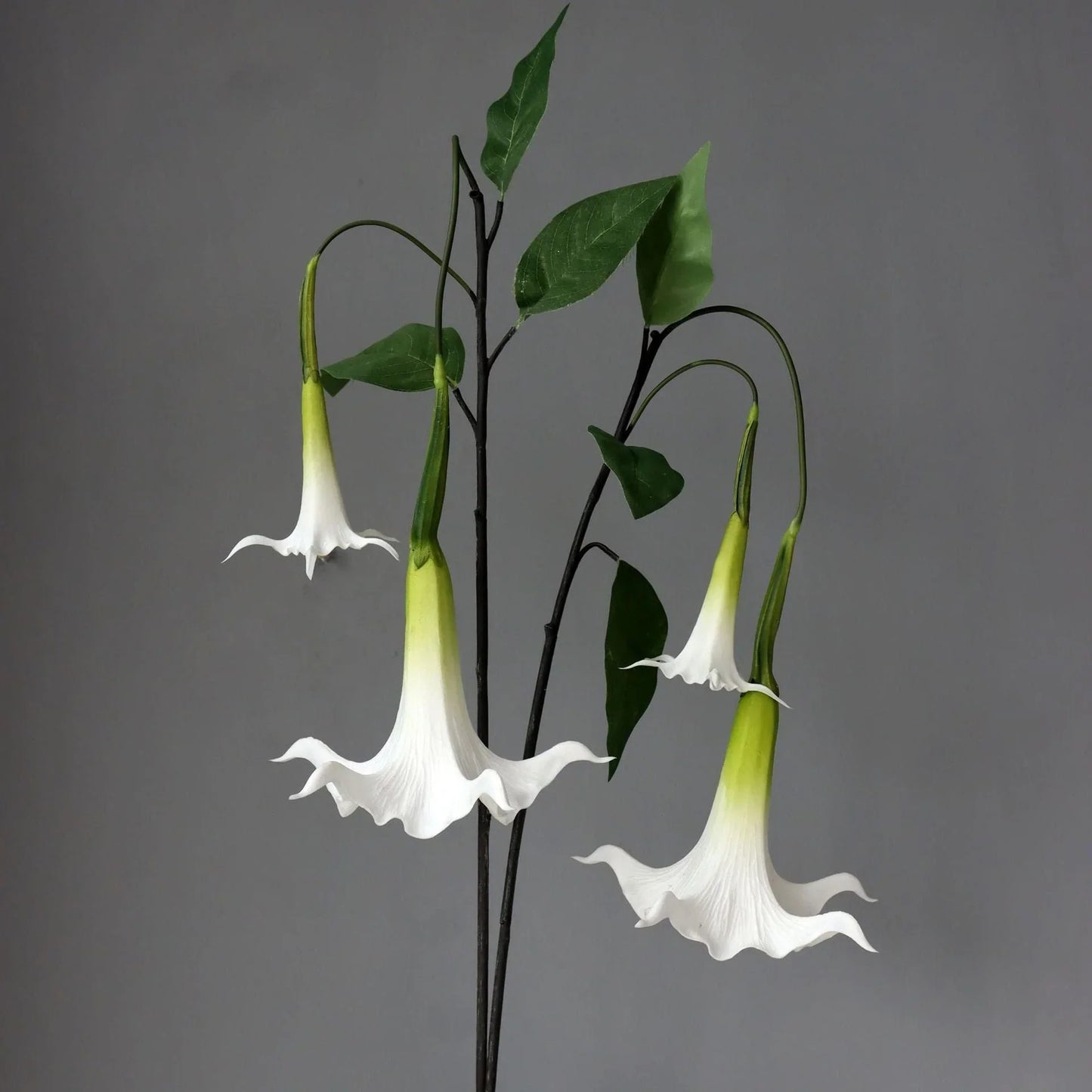 Frendorf | Künstliche Brugmansia Versicolor Blume