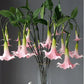 Frendorf | Künstliche Brugmansia Versicolor Blume