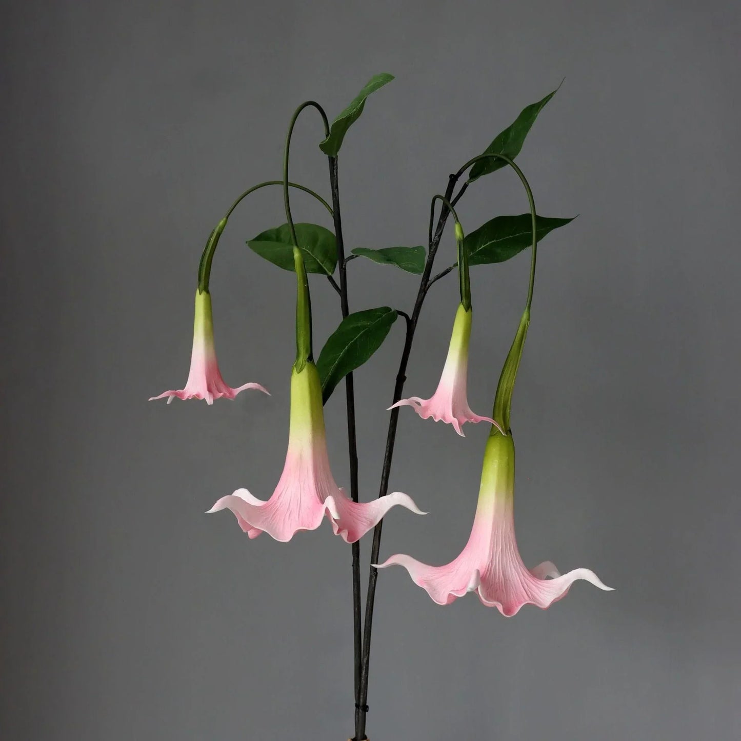 Frendorf | Künstliche Brugmansia Versicolor Blume